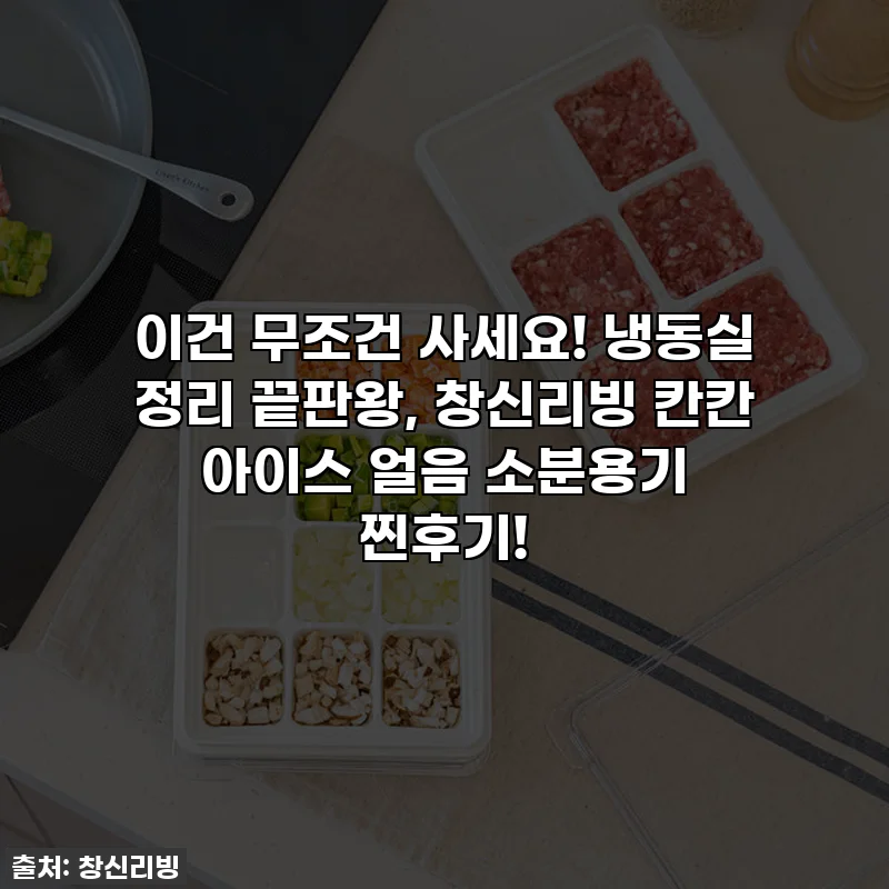 이건 무조건 사세요! 냉동실 정리 끝판왕, 창신리빙 칸칸 아이스 얼음 소분용기 찐후기!
