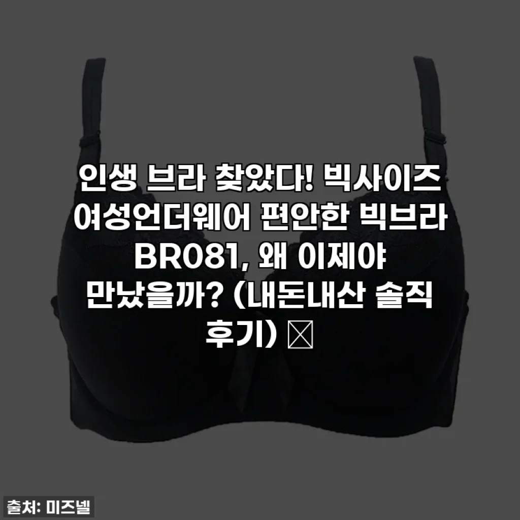 인생 브라 찾았다! 빅사이즈 여성언더웨어 편안한 빅브라 BR081, 왜 이제야 만났을까? (내돈내산 솔직 후기) 💖