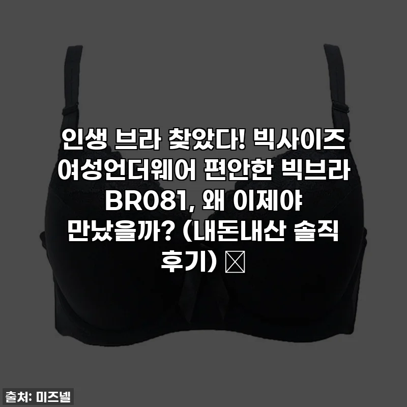 인생 브라 찾았다! 빅사이즈 여성언더웨어 편안한 빅브라 BR081, 왜 이제야 만났을까? (내돈내산 솔직 후기) 💖
