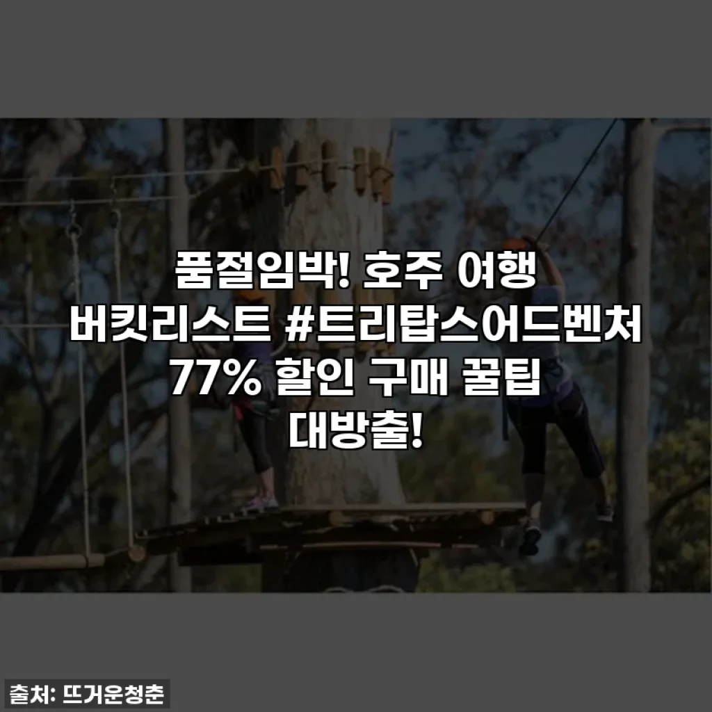 품절임박! 호주 여행 버킷리스트 #트리탑스어드벤처 77% 할인 구매 꿀팁 대방출!
