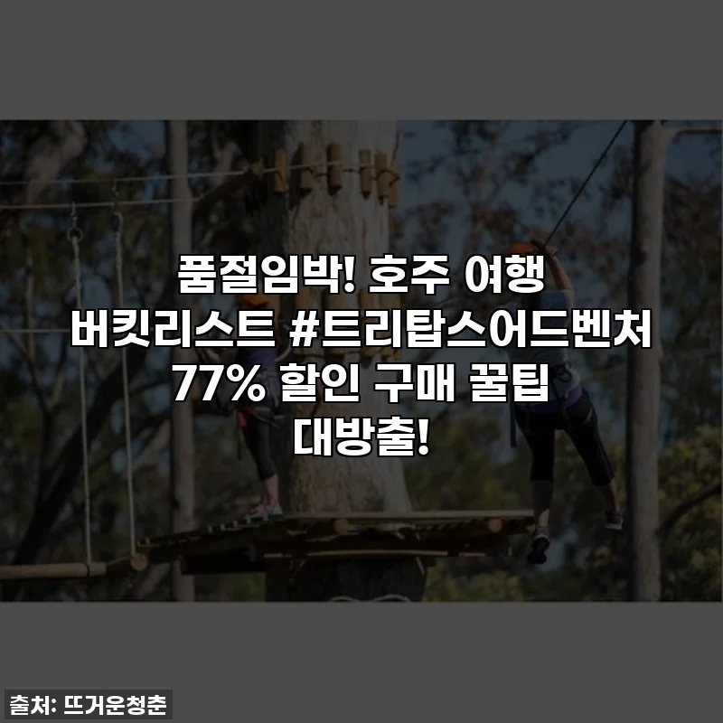 품절임박! 호주 여행 버킷리스트 #트리탑스어드벤처 77% 할인 구매 꿀팁 대방출!