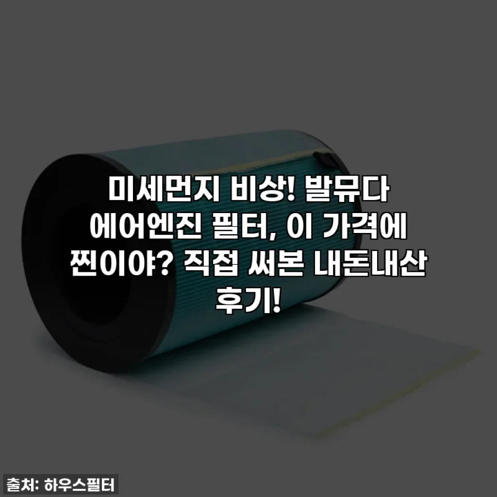 미세먼지 비상! 발뮤다 에어엔진 필터, 이 가격에 찐이야? 직접 써본 내돈내산 후기!