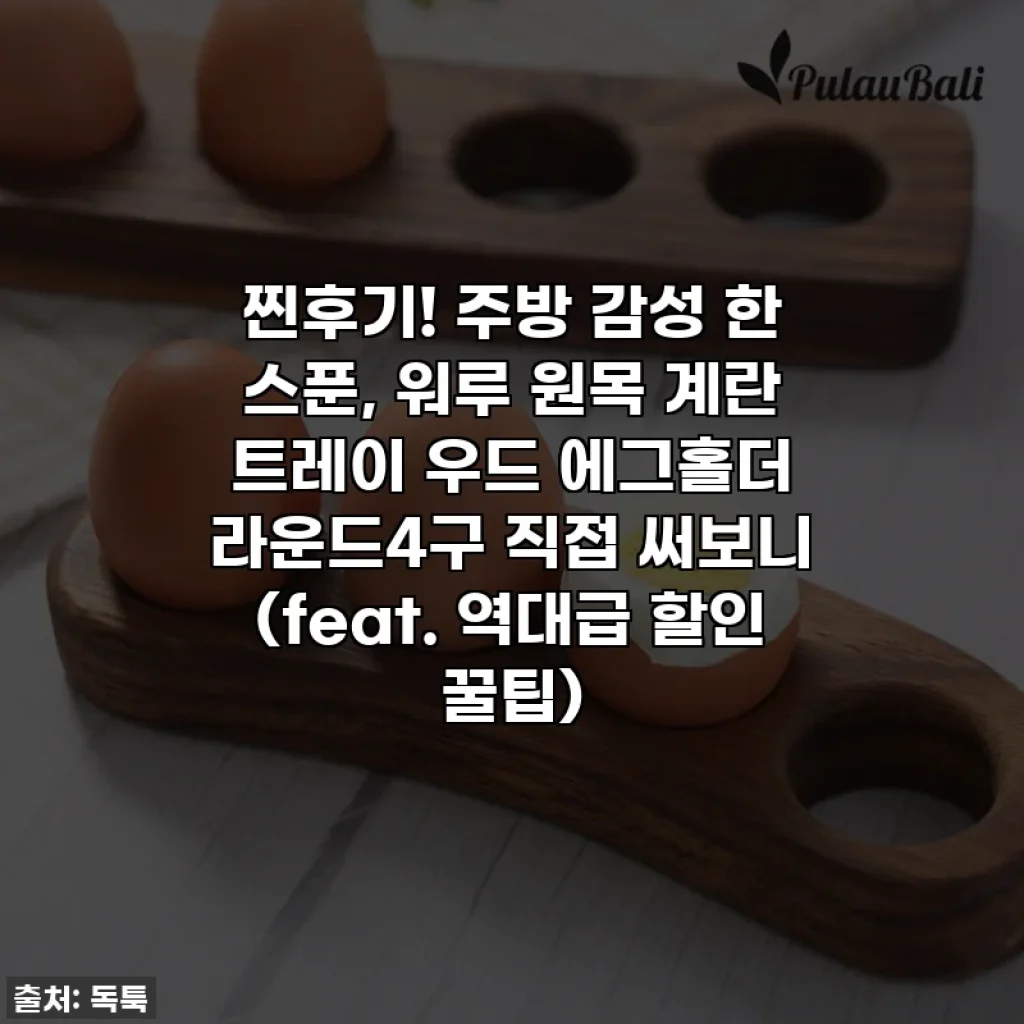 찐후기! 주방 감성 한 스푼, 워루 원목 계란 트레이 우드 에그홀더 라운드4구 직접 써보니 (feat. 역대급 할인 꿀팁)