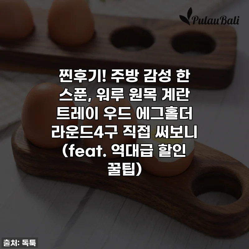 찐후기! 주방 감성 한 스푼, 워루 원목 계란 트레이 우드 에그홀더 라운드4구 직접 써보니 (feat. 역대급 할인 꿀팁)