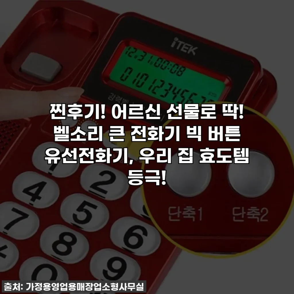 찐후기! 어르신 선물로 딱! 벨소리 큰 전화기 빅 버튼 유선전화기, 우리 집 효도템 등극!