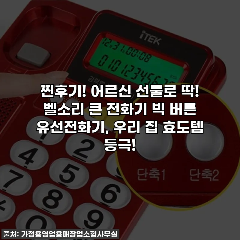 찐후기! 어르신 선물로 딱! 벨소리 큰 전화기 빅 버튼 유선전화기, 우리 집 효도템 등극!
