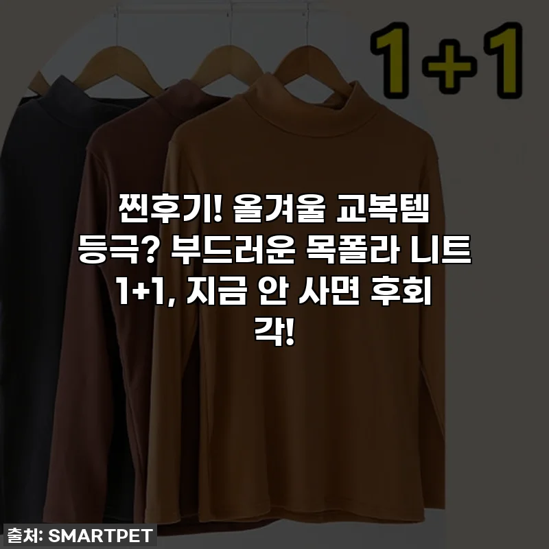 찐후기! 올겨울 교복템 등극? 부드러운 목폴라 니트 1+1, 지금 안 사면 후회 각!
