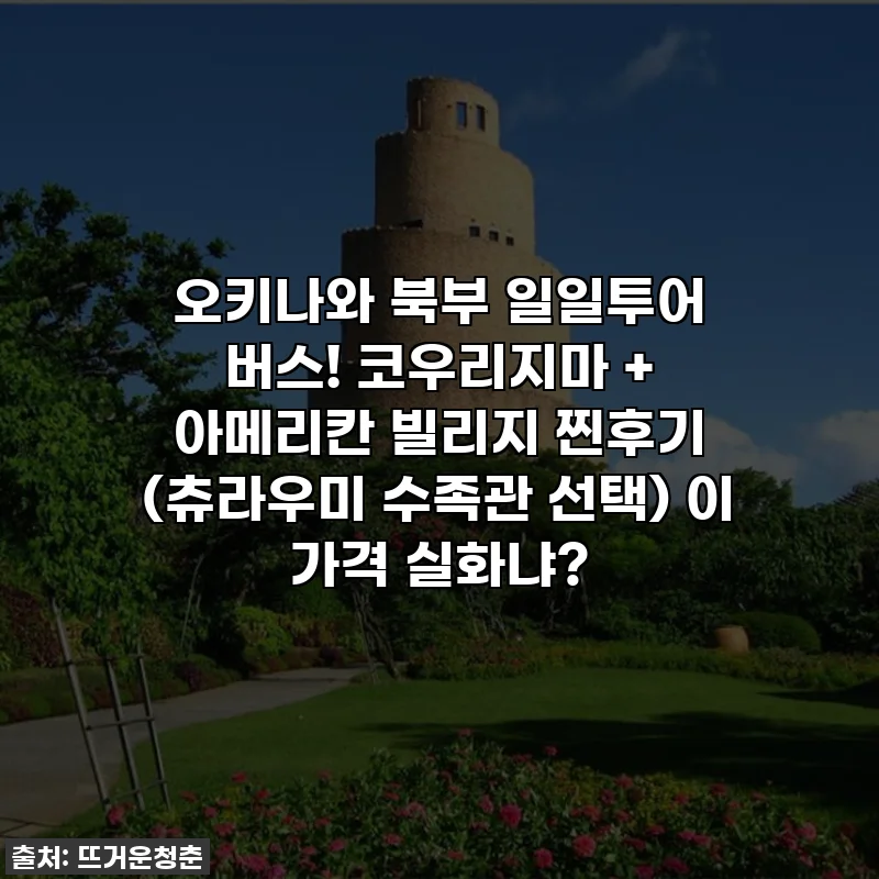 오키나와 북부 일일투어 버스! 코우리지마 + 아메리칸 빌리지 찐후기 (츄라우미 수족관 선택) 이 가격 실화냐?