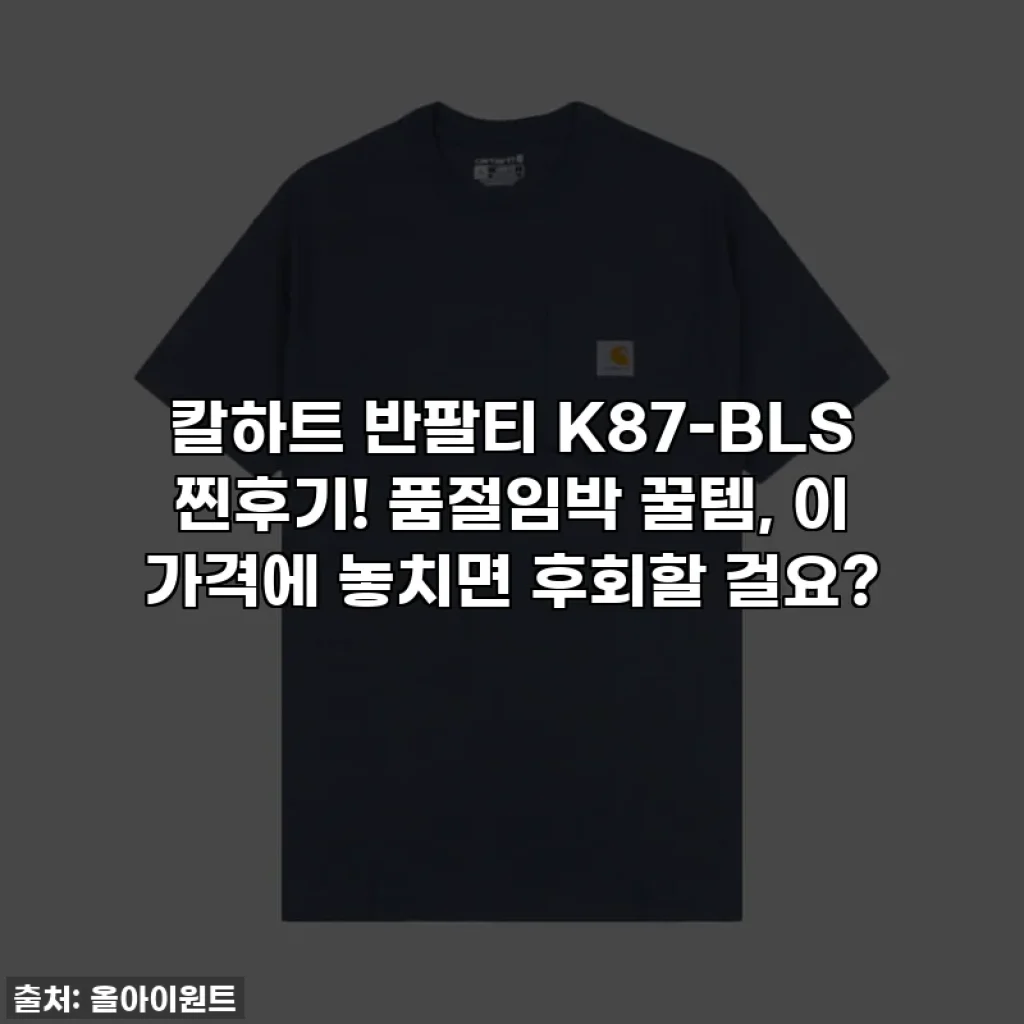 칼하트 반팔티 K87-BLS 찐후기! 품절임박 꿀템, 이 가격에 놓치면 후회할 걸요?