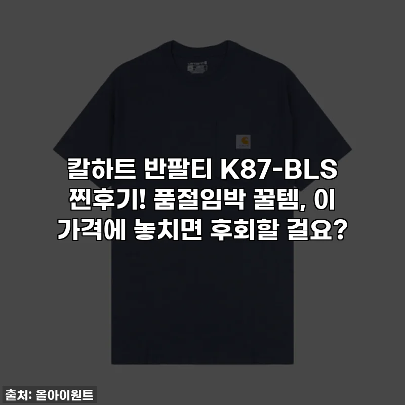칼하트 반팔티 K87-BLS 찐후기! 품절임박 꿀템, 이 가격에 놓치면 후회할 걸요?