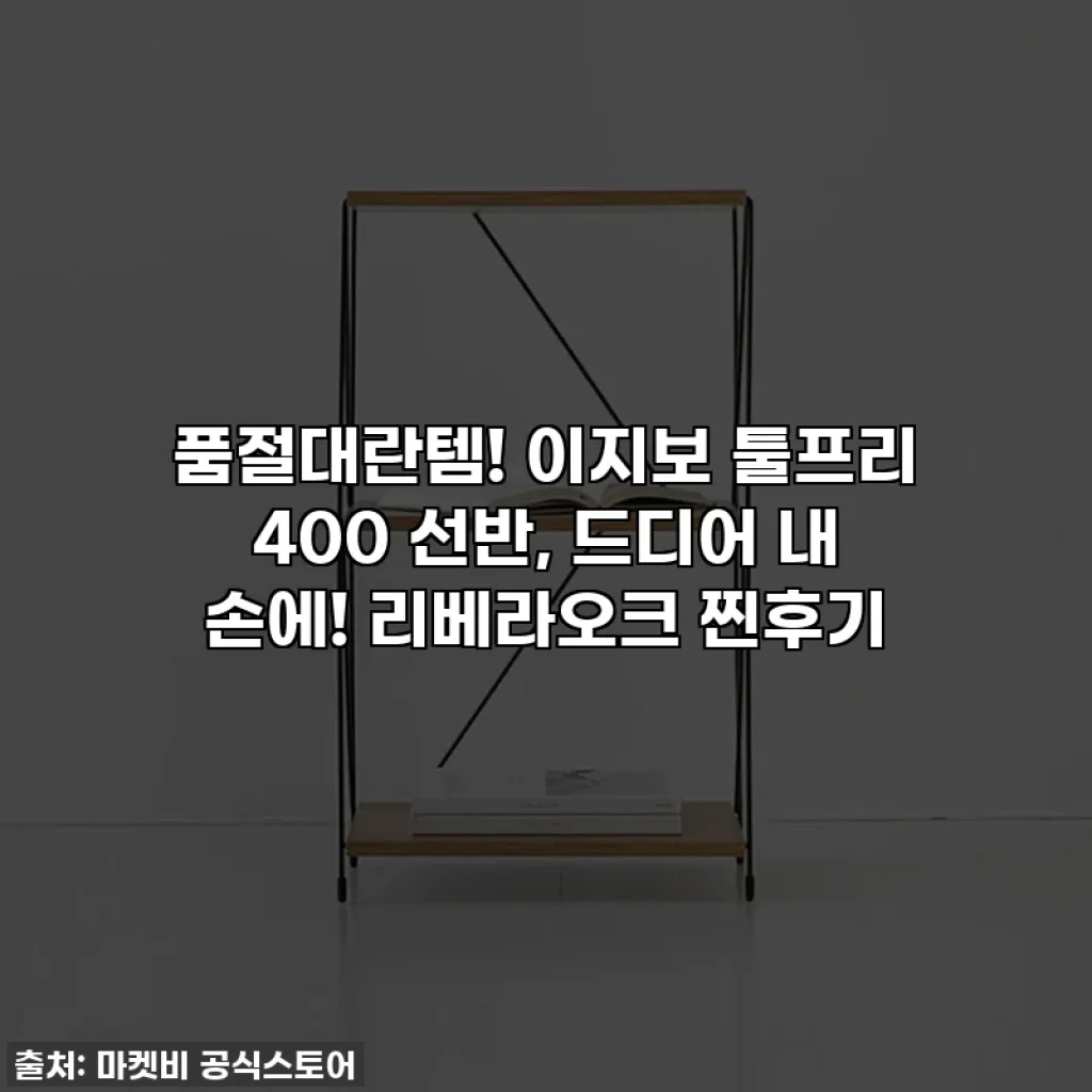 품절대란템! 이지보 툴프리 400 선반, 드디어 내 손에! 리베라오크 찐후기
