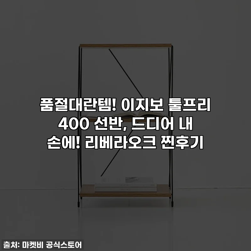 품절대란템! 이지보 툴프리 400 선반, 드디어 내 손에! 리베라오크 찐후기