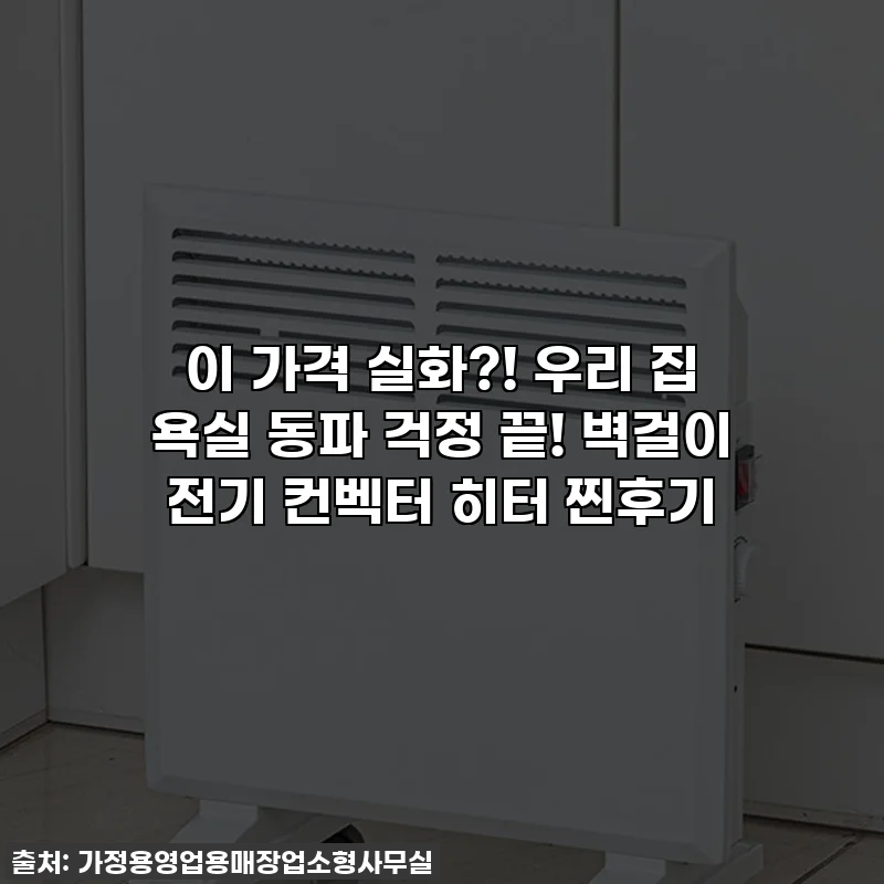 이 가격 실화?! 우리 집 욕실 동파 걱정 끝! 벽걸이 전기 컨벡터 히터 찐후기