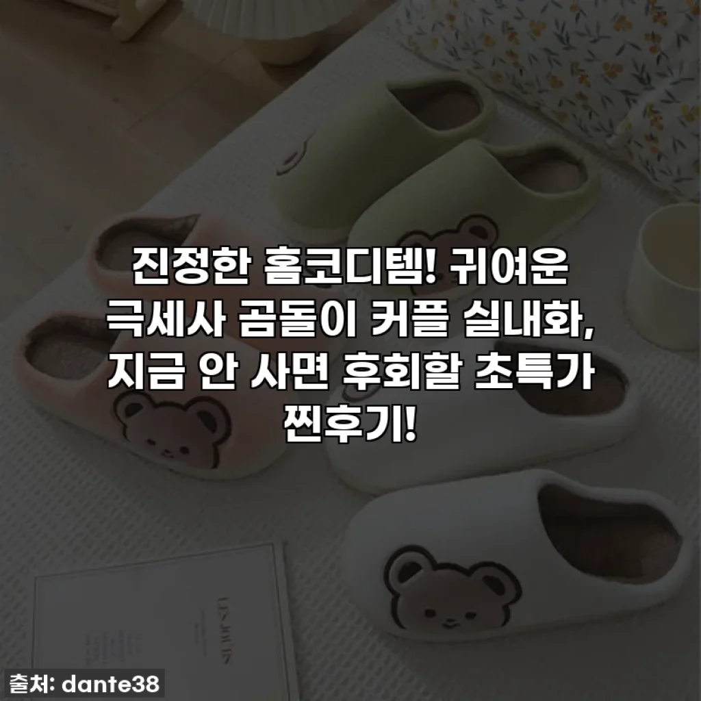 진정한 홈코디템! 귀여운 극세사 곰돌이 커플 실내화, 지금 안 사면 후회할 초특가 찐후기!
