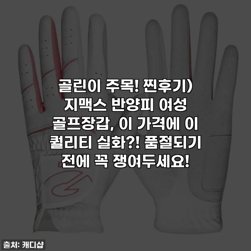골린이 주목! 찐후기) 지맥스 반양피 여성 골프장갑, 이 가격에 이 퀄리티 실화?! 품절되기 전에 꼭 쟁여두세요!