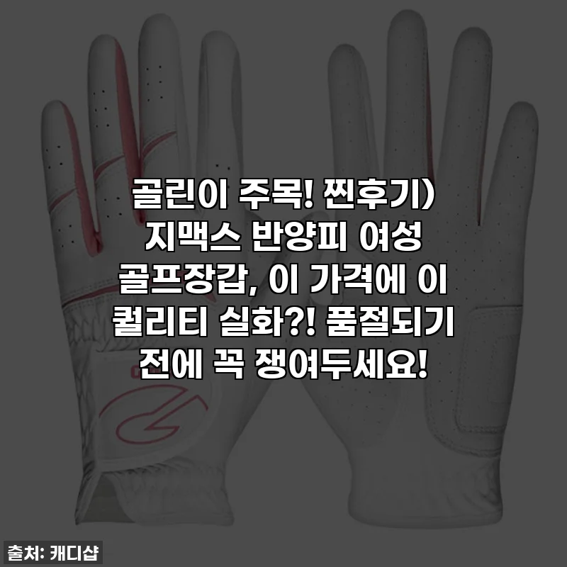 골린이 주목! 찐후기) 지맥스 반양피 여성 골프장갑, 이 가격에 이 퀄리티 실화?! 품절되기 전에 꼭 쟁여두세요!