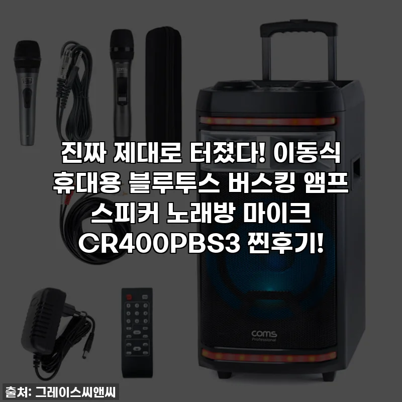 진짜 제대로 터졌다! 이동식 휴대용 블루투스 버스킹 앰프 스피커 노래방 마이크 CR400PBS3 찐후기!