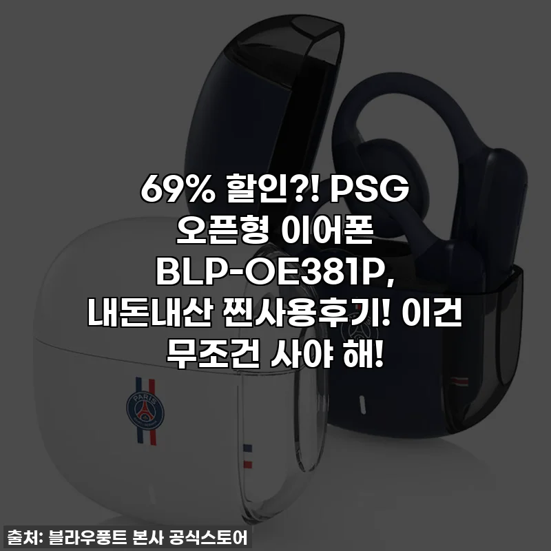 69% 할인?! PSG 오픈형 이어폰 BLP-OE381P, 내돈내산 찐사용후기! 이건 무조건 사야 해!