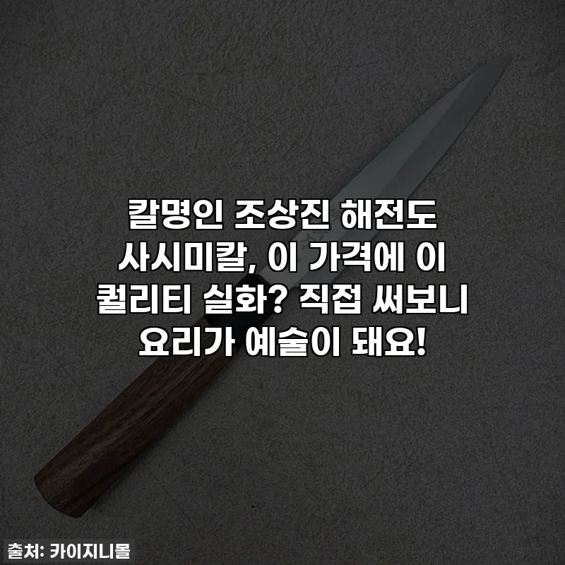 칼명인 조상진 해전도 사시미칼, 이 가격에 이 퀄리티 실화? 직접 써보니 요리가 예술이 돼요!