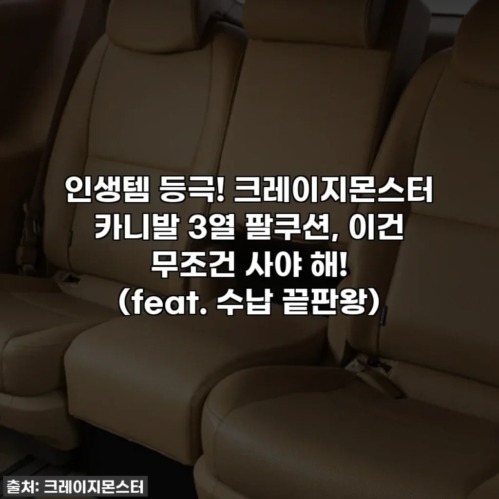 인생템 등극! 크레이지몬스터 카니발 3열 팔쿠션, 이건 무조건 사야 해! (feat. 수납 끝판왕)