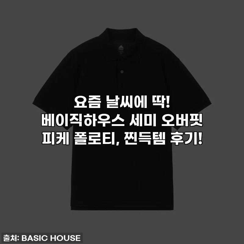 요즘 날씨에 딱! 베이직하우스 세미 오버핏 피케 폴로티, 찐득템 후기!