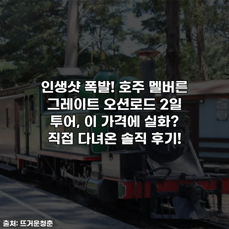 인생샷 폭발! 호주 멜버른 그레이트 오션로드 2일 투어, 이 가격에 실화? 직접 다녀온 솔직 후기!