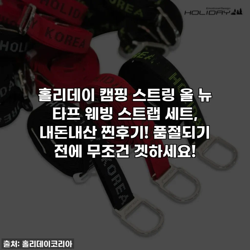 홀리데이 캠핑 스트링 올 뉴 타프 웨빙 스트랩 세트, 내돈내산 찐후기! 품절되기 전에 무조건 겟하세요!