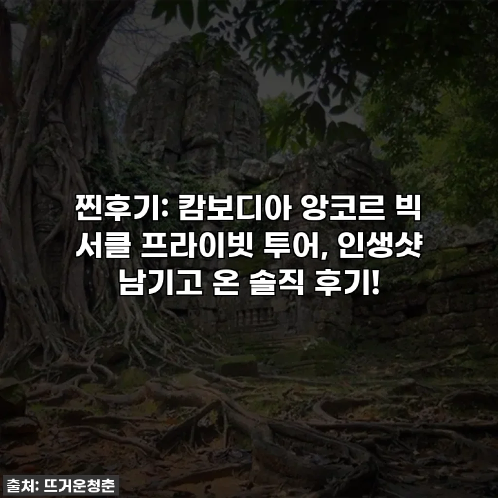 찐후기: 캄보디아 앙코르 빅 서클 프라이빗 투어, 인생샷 남기고 온 솔직 후기!