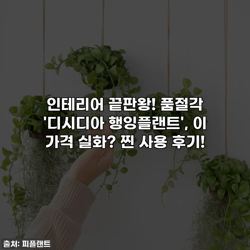 인테리어 끝판왕! 품절각 '디시디아 행잉플랜트', 이 가격 실화? 찐 사용 후기!