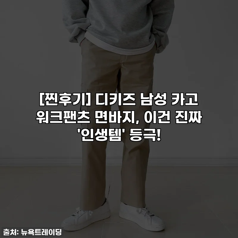 [찐후기] 디키즈 남성 카고 워크팬츠 면바지, 이건 진짜 '인생템' 등극!