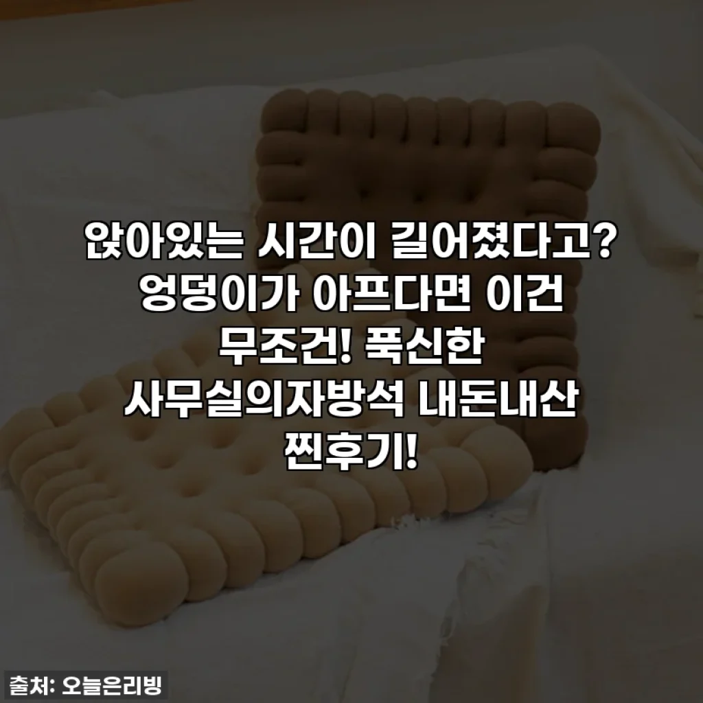 앉아있는 시간이 길어졌다고? 엉덩이가 아프다면 이건 무조건! 푹신한 사무실의자방석 내돈내산 찐후기!