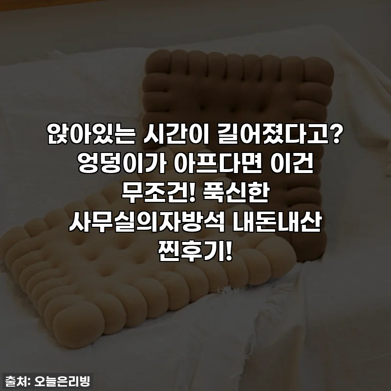 앉아있는 시간이 길어졌다고? 엉덩이가 아프다면 이건 무조건! 푹신한 사무실의자방석 내돈내산 찐후기!