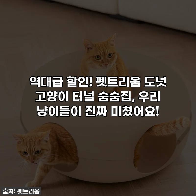 역대급 할인! 펫트리움 도넛 고양이 터널 숨숨집, 우리 냥이들이 진짜 미쳤어요!