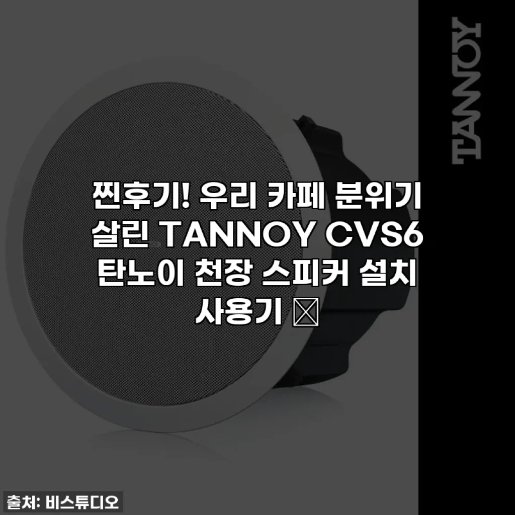 찐후기! 우리 카페 분위기 살린 TANNOY CVS6 탄노이 천장 스피커 설치 사용기 ✨