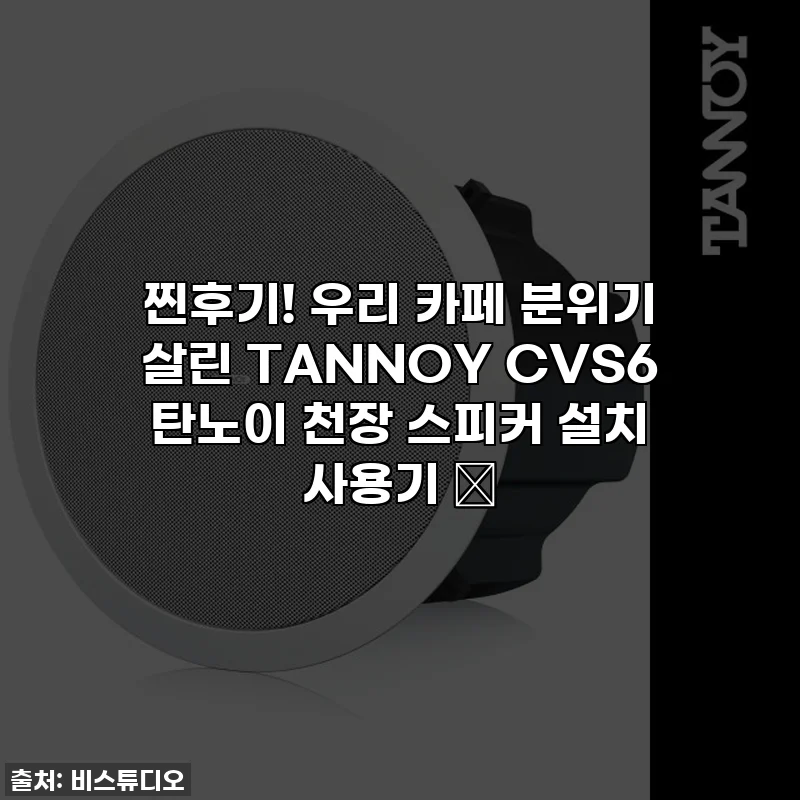 찐후기! 우리 카페 분위기 살린 TANNOY CVS6 탄노이 천장 스피커 설치 사용기 ✨