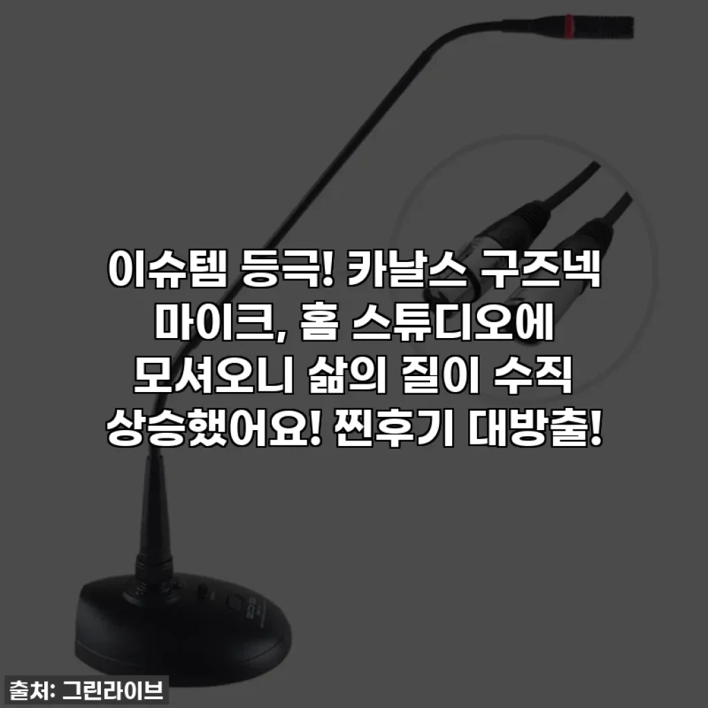 이슈템 등극! 카날스 구즈넥 마이크, 홈 스튜디오에 모셔오니 삶의 질이 수직 상승했어요! 찐후기 대방출!