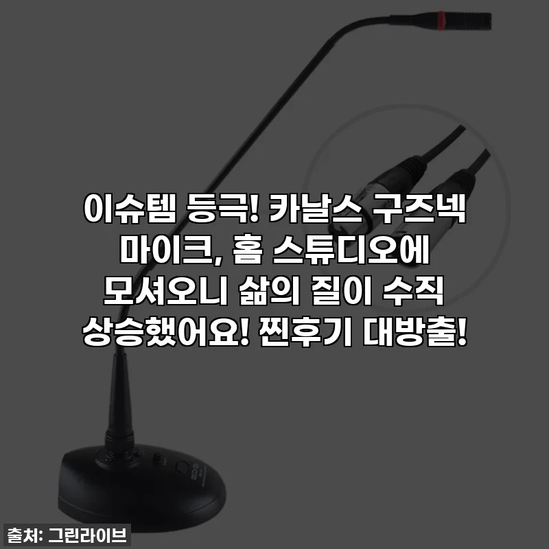 이슈템 등극! 카날스 구즈넥 마이크, 홈 스튜디오에 모셔오니 삶의 질이 수직 상승했어요! 찐후기 대방출!