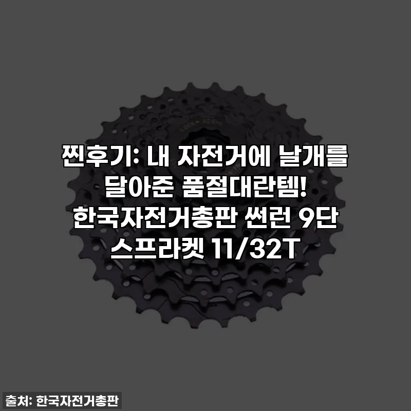 찐후기: 내 자전거에 날개를 달아준 품절대란템! 한국자전거총판 썬런 9단 스프라켓 11/32T
