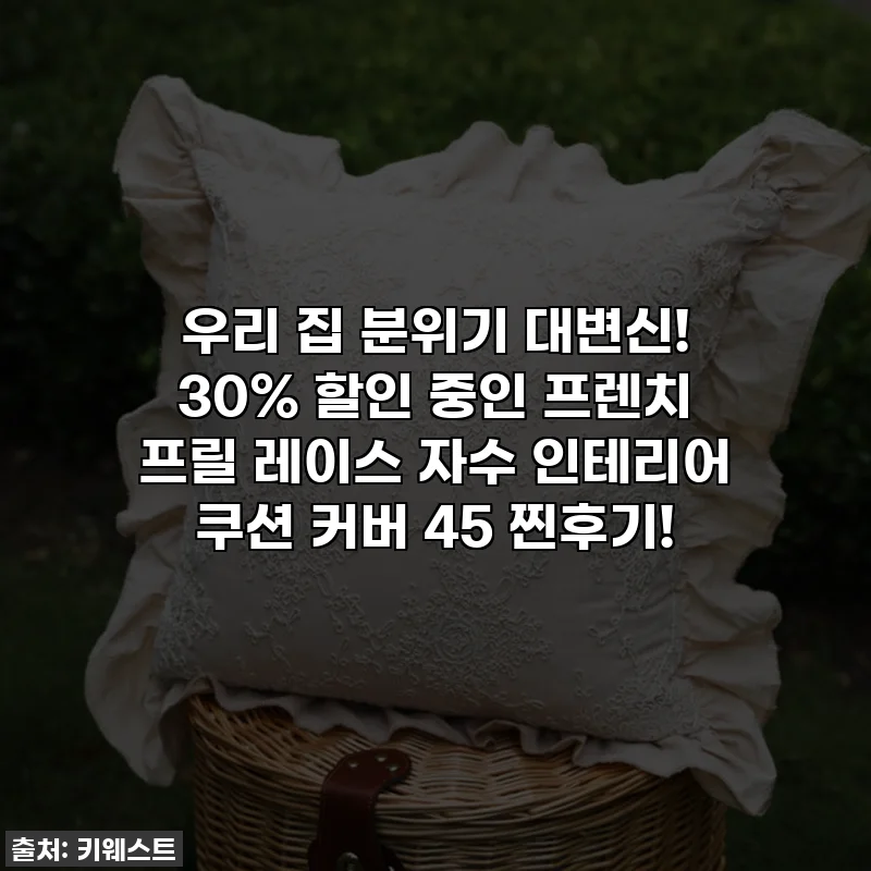 우리 집 분위기 대변신! 30% 할인 중인 프렌치 프릴 레이스 자수 인테리어 쿠션 커버 45 찐후기!