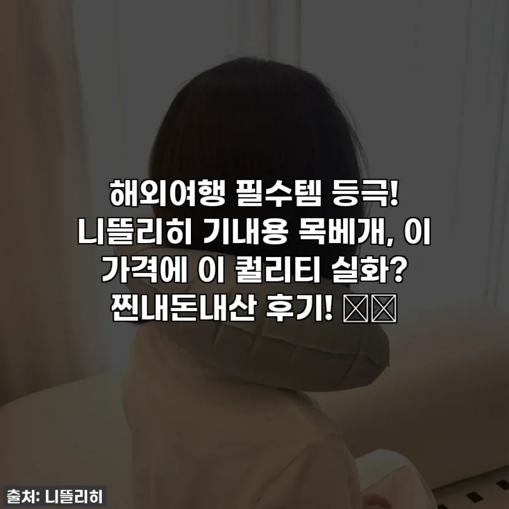 해외여행 필수템 등극! 니뜰리히 기내용 목베개, 이 가격에 이 퀄리티 실화? 찐내돈내산 후기! ✈️