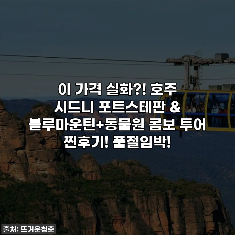 이 가격 실화?! 호주 시드니 포트스테판 & 블루마운틴+동물원 콤보 투어 찐후기! 품절임박!