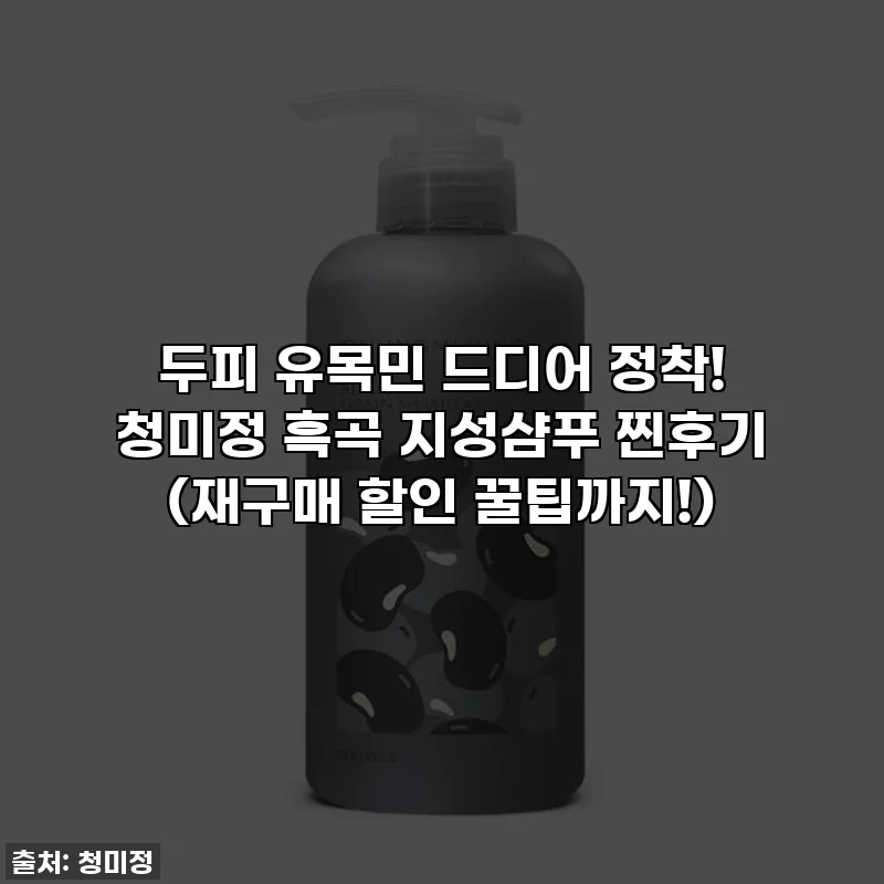 두피 유목민 드디어 정착! 청미정 흑곡 지성샴푸 찐후기 (재구매 할인 꿀팁까지!)