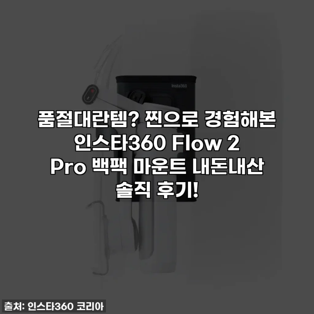 품절대란템? 찐으로 경험해본 인스타360 Flow 2 Pro 백팩 마운트 내돈내산 솔직 후기!
