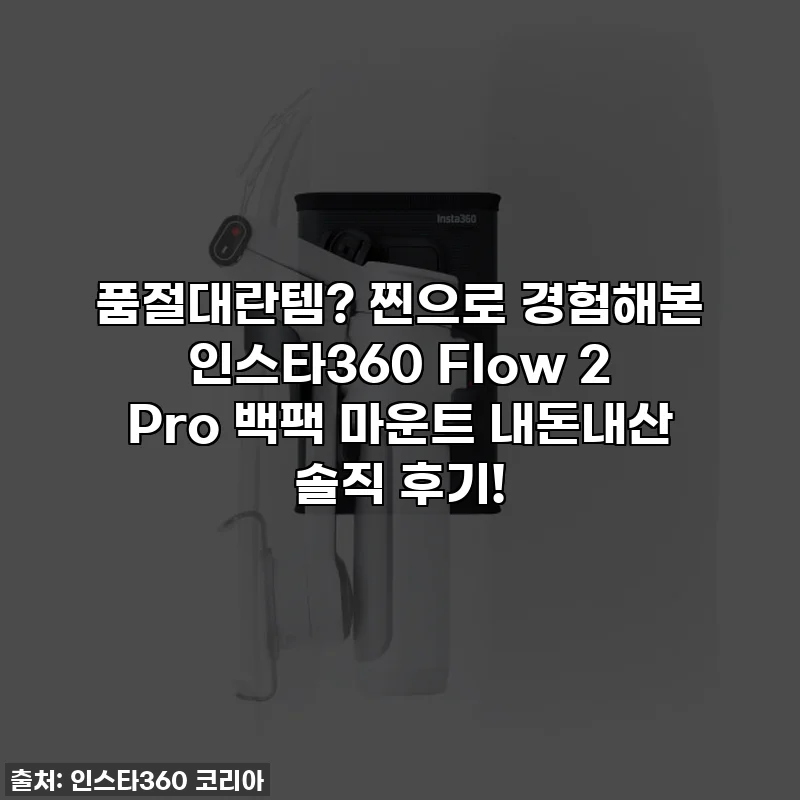 품절대란템? 찐으로 경험해본 인스타360 Flow 2 Pro 백팩 마운트 내돈내산 솔직 후기!