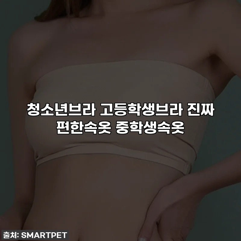 청소년브라 고등학생브라 진짜 편한속옷 중학생속옷