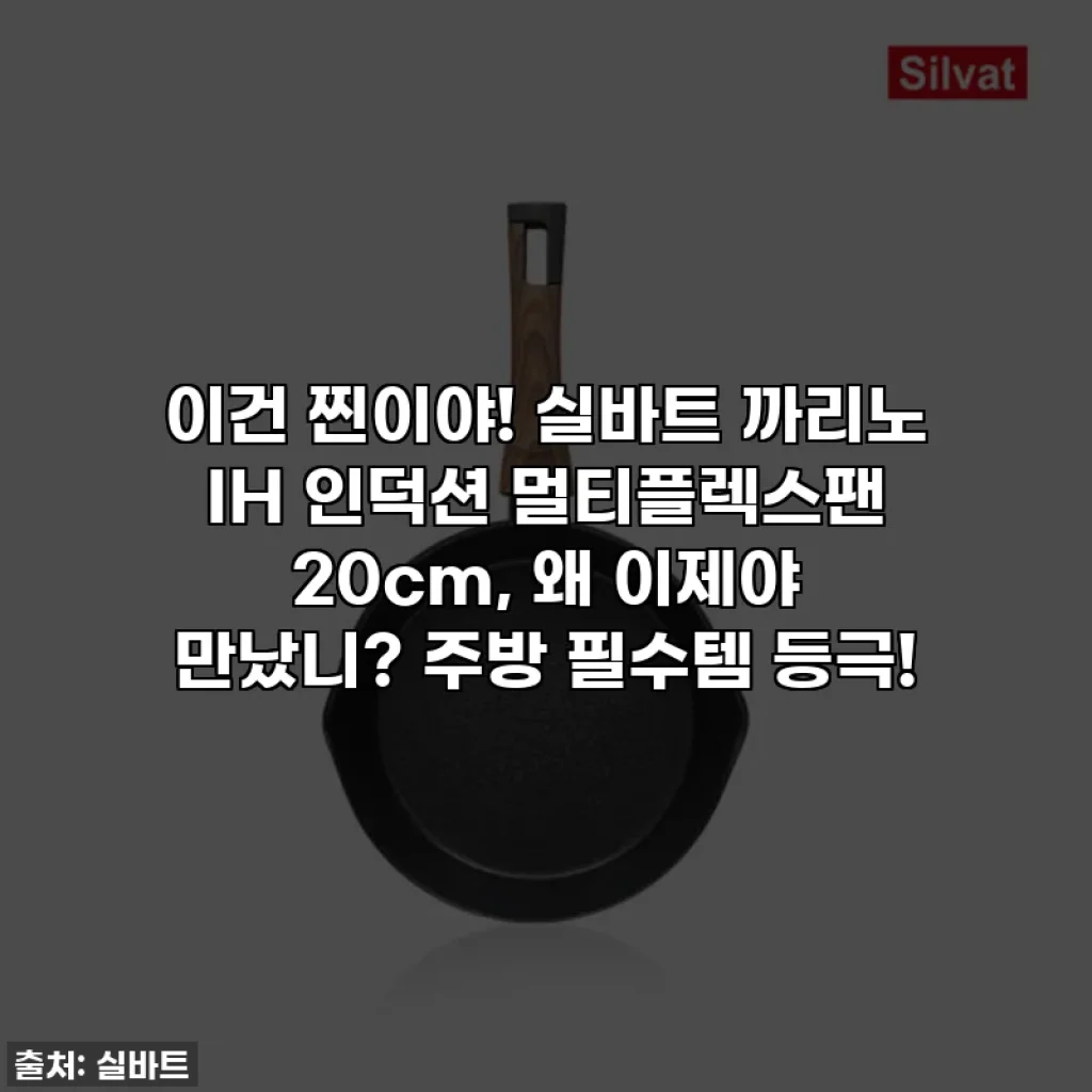 이건 찐이야! 실바트 까리노 IH 인덕션 멀티플렉스팬 20cm, 왜 이제야 만났니? 주방 필수템 등극!
