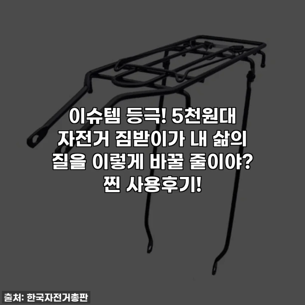 이슈템 등극! 5천원대 자전거 짐받이가 내 삶의 질을 이렇게 바꿀 줄이야? 찐 사용후기!