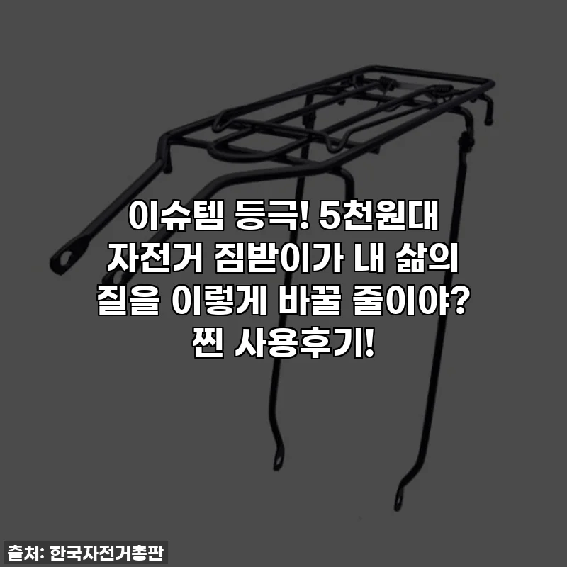 이슈템 등극! 5천원대 자전거 짐받이가 내 삶의 질을 이렇게 바꿀 줄이야? 찐 사용후기!