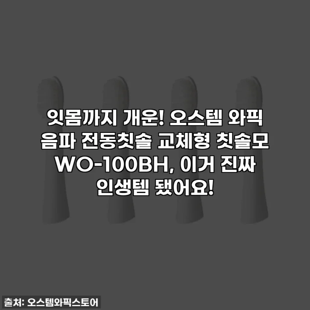 잇몸까지 개운! 오스템 와픽 음파 전동칫솔 교체형 칫솔모 WO-100BH, 이거 진짜 인생템 됐어요!