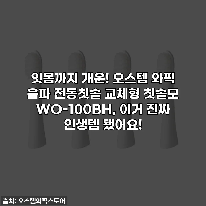 잇몸까지 개운! 오스템 와픽 음파 전동칫솔 교체형 칫솔모 WO-100BH, 이거 진짜 인생템 됐어요!